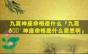 九霄神座命格是什么「九霄 🌴 神座命格是什么意思啊」